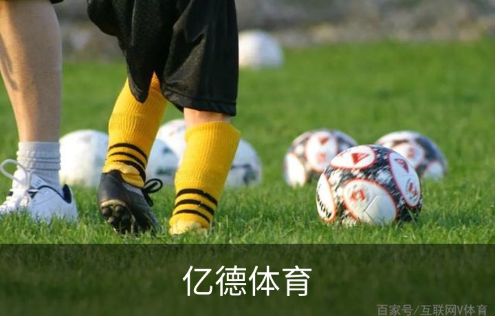 亿德体育概况
